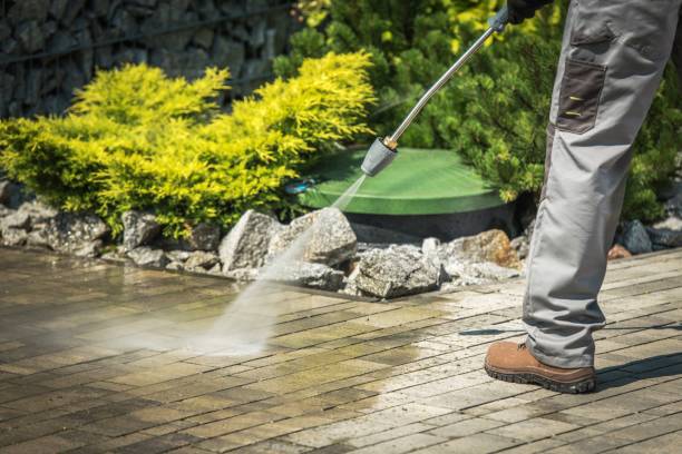 Best Soft Washing for Delicate Surfaces in District Heights, MD
